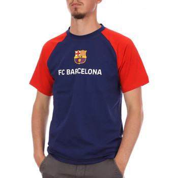 Kleidung Herren T-Shirts Fc Barcelona B19005 Blau