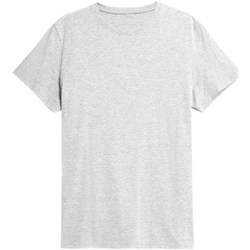 Kleidung Herren T-Shirts 4F TSM352 Grau
