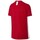 Kleidung Jungen T-Shirts Nike Dry Academy Rot