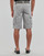 Kleidung Herren Shorts / Bermudas Teddy Smith SYTRO 3 Grau