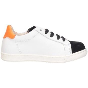 Schuhe Jungen Sneaker Low Gioiecologiche 5099 Multicolor