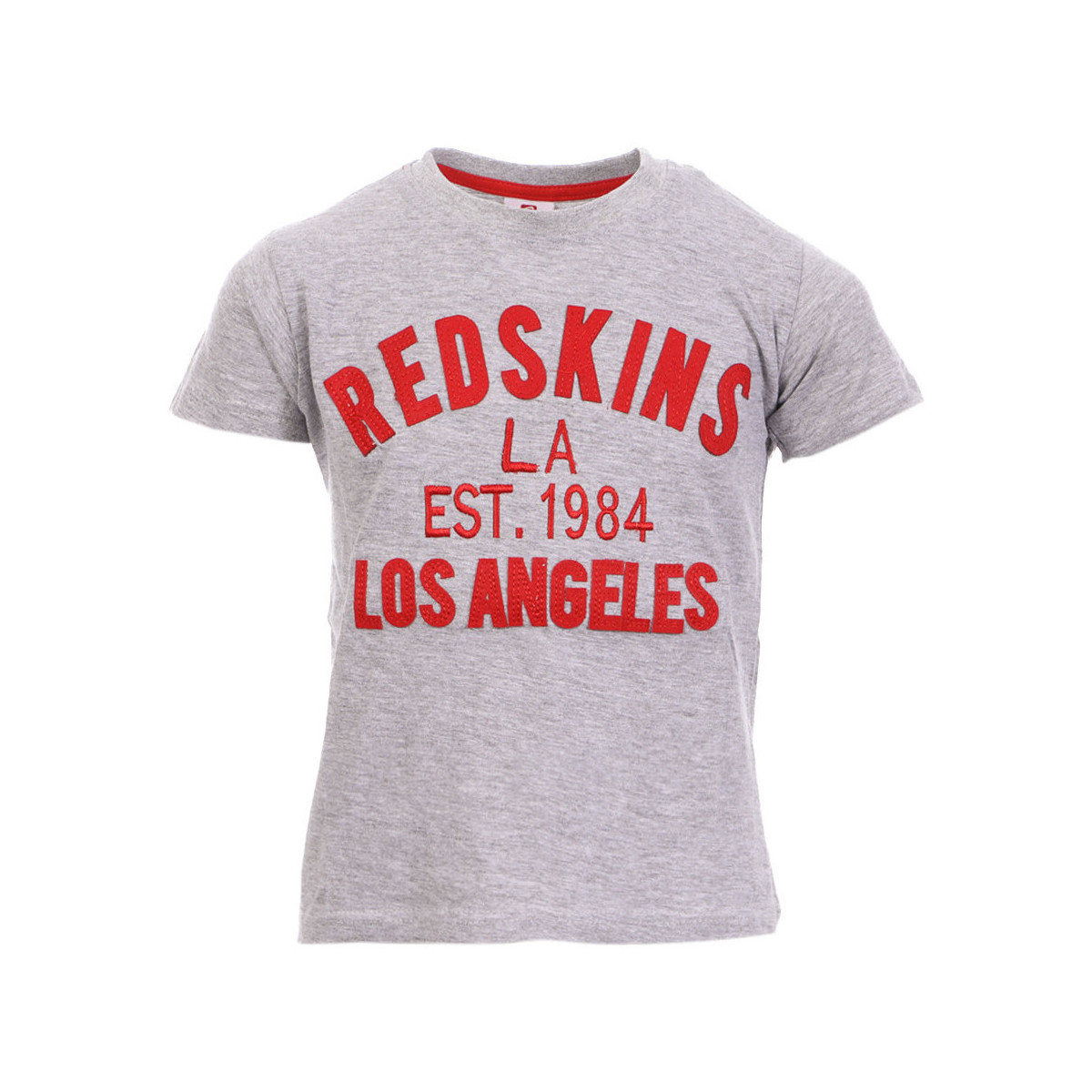 Kleidung Jungen T-Shirts & Poloshirts Redskins RDS-3031-JR Grau