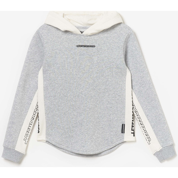 Kleidung Jungen Sweatshirts Le Temps des Cerises Kapuzen-sweatshirt COLORABO Grau