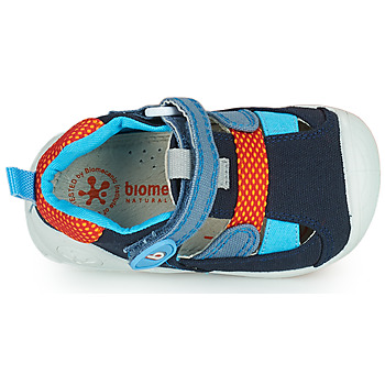 Biomecanics ANDREA Blau