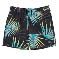 Kleidung Jungen Badeanzug /Badeshorts Quiksilver OCEANMADE MIX Multicolor