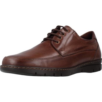 Schuhe Herren Derby-Schuhe & Richelieu Pitillos 4521P Braun
