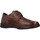 Schuhe Herren Derby-Schuhe & Richelieu Pitillos 4521P Braun