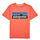 Kleidung Kinder T-Shirts Patagonia BOYS LOGO T-SHIRT Korallenrot