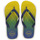 Schuhe Zehensandalen Havaianas BRASIL FRESH Grün / Blau / Gelb