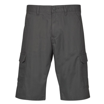 Kleidung Herren Shorts / Bermudas Esprit OCS N Cargo SH Grau