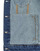 Kleidung Damen Jeansjacken Desigual CHAQ_OLIMPIA Grau / Blau