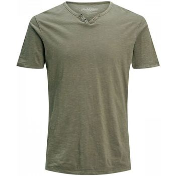 Kleidung Herren T-Shirts & Poloshirts Jack & Jones 12164972 SPLIT-DUSKY GREEN Grün