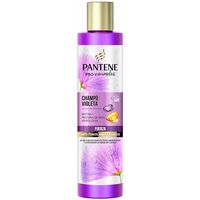 Beauty Shampoo Pantene Miracle Violeta Champú 