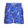 Kleidung Herren Badeanzug /Badeshorts Polo Ralph Lauren W221SC13 Blau / Multicolor