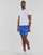 Kleidung Herren Badeanzug /Badeshorts Polo Ralph Lauren W221SC13 Blau / Multicolor