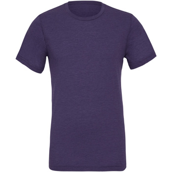 Kleidung Herren T-Shirts Bella + Canvas CA3413 Violett