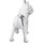 Home Statuetten und Figuren Signes Grimalt Frächte Bulldogge Abbildung Weiss