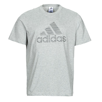 Kleidung Herren T-Shirts adidas Performance SP SD T-SHIRT Grau