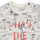 Kleidung Jungen T-Shirts Ikks ECHANTILOI Multicolor