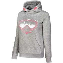 Kleidung Mädchen Sweatshirts 4F JBLD006A Grau