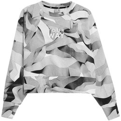 Kleidung Damen Sweatshirts 4F BLD021 Grau
