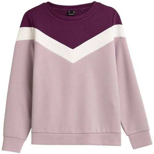 Kleidung Damen Sweatshirts 4F BLD025 Kirschrot, Rosa