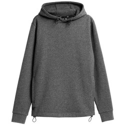 Kleidung Herren Sweatshirts 4F BLM013 Grau