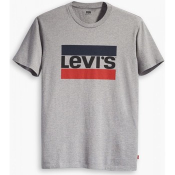 Kleidung Herren T-Shirts & Poloshirts Levi's 39636 LOGOGRAPHIC-0002 GREY Grau