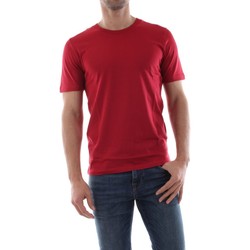 Kleidung Herren T-Shirts & Poloshirts Selected 16057141 THEPERFECT-RIO RED Rot