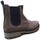Schuhe Stiefel Coquette 25854-24 Grau