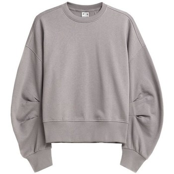 Kleidung Damen Sweatshirts 4F H4Z21 BLD019 Grau