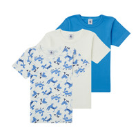 Kleidung Jungen T-Shirts Petit Bateau ADRIAN Multicolor