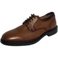 Schuhe Herren Derby-Schuhe & Richelieu Ara Business HENRY HENRY 1119401-07 braun