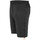 Kleidung Herren Shorts / Bermudas Salewa Ortles Twr Stretch M Shorts 28184-0910 Schwarz