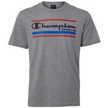 Kleidung Herren T-Shirts Champion Crewneck Grau