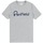 Kleidung Herren T-Shirts Penfield T-shirt  Bear Chest Grau
