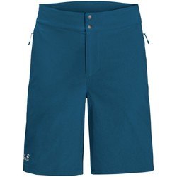 Kleidung Herren Shorts / Bermudas Jack Wolfskin Sport GRADIENT SHORT M 1506701 1350 blau