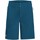 Kleidung Herren Shorts / Bermudas Jack Wolfskin Sport GRADIENT SHORT M 1506701 1350 Blau