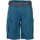 Kleidung Herren Shorts / Bermudas Brunotti Sport CaldECO-N Mens Walkshort 2131130013 7548 Other