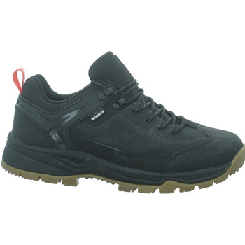 Schuhe Damen Fitness / Training Icepeak Sportschuhe  ABAI MS,ANTHRACITE 75274100I Grau