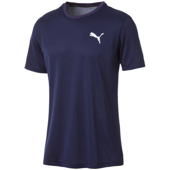 Kleidung Herren T-Shirts & Poloshirts Puma 851702-06 Blau
