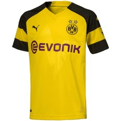 Kleidung Herren T-Shirts & Poloshirts Puma Sport Borussia Dortmund Heimtrikot 2018/19 753310-001 Other