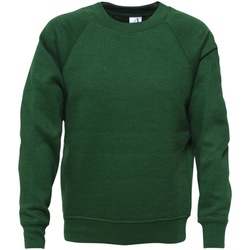 Kleidung Kinder Sweatshirts Absolute Apparel  Grün