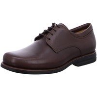 Schuhe Herren Derby-Schuhe Anatomic & Co Schnuerschuhe Niteroi 454501 Brown braun