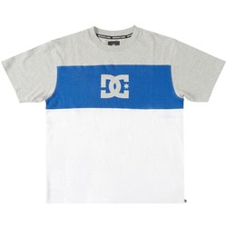 Kleidung Herren T-Shirts DC Shoes Glen End Weiß, Blau, Grau