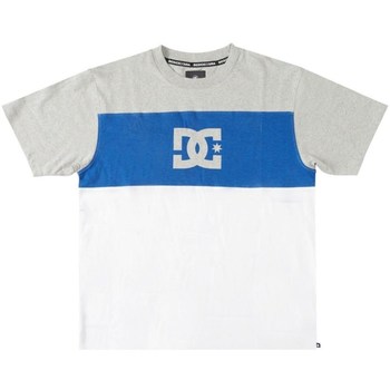 Kleidung Herren T-Shirts DC Shoes Glen End Blau, Grau, Weiß