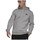 Kleidung Herren Sweatshirts adidas Originals Essentials Feelcozy Grau