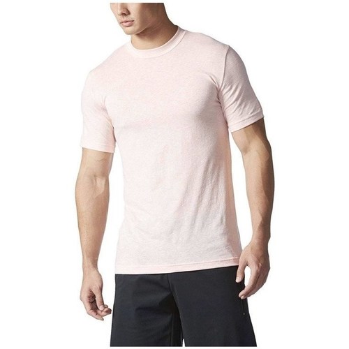 Kleidung Herren T-Shirts adidas Originals Basic Tee Rosa