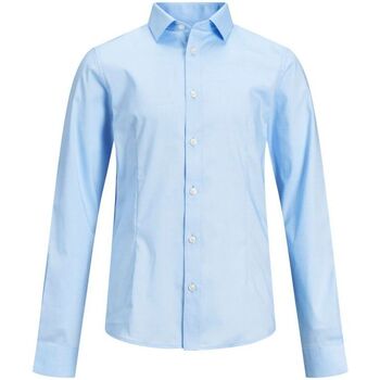 Kleidung Jungen Langärmelige Hemden Jack & Jones 12151620 PARMA JR-CASHMERE BLUE Blau
