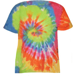 Kleidung Kinder T-Shirts Colortone TD02B Multicolor
